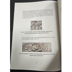 IL SOLDINO VENEZIANO E I SUOI MASSARI. DA ANDREA DANDOLO AD AGOSTINO BARBARIGO. ADELCHI BENETTON. 2001