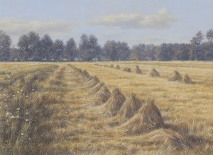 Maciej Cichocki, NAD ŚWIDREM-KOPKI OWSA, 2013
