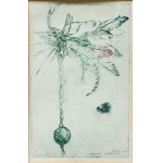 Daniela Havlíčková (1946 - 1999), Flying dreams, 1987