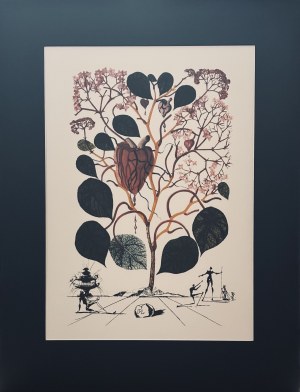 Salvador Dalí (1904-1989), From the Flordali Series: Le Begonia