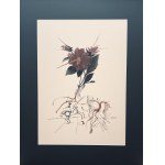 Salvador Dalí (1904-1989), Z serii Flordali: Dahlia