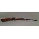 Air carbine, shotgun "wind gun" XIX