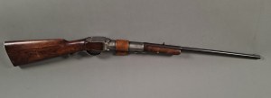 Air carbine, shotgun 