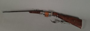 Air carbine, shotgun 