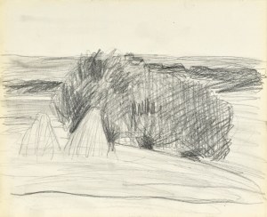 Stanislaw KAMOCKI (1875-1944), Paysage avec des gerbes, été 1903