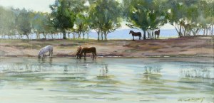 Andrzej SOBIERAJ (b. 1952), Horses in Santok