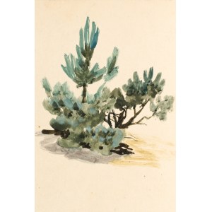 Ludwik MACIĄG (1920-2007), Alberi e arbusti