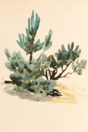 Ludwik MACIĄG (1920-2007), Trees and Shrubs