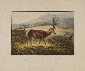 Newton FIELDING (1799-1856), Deer in the mountains (original title: 