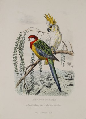 Travies Edouard