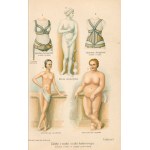 Fischer-Dückelman Anna- The woman domestic physician. A physician