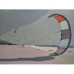 Ewa KRZYWIŃSKA (ur. 1976), Set to fly#3, 2025
