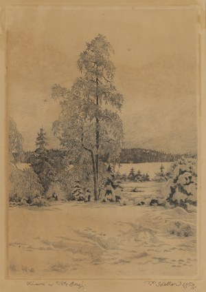 Paweł Steller (1895 Hermanice - 1974 Katowice), 