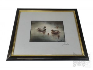 Unknown Artist (Signature ANSELM), Duck Family