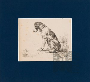 Jan ROSEN (1854-1936), Psiak, 1881
