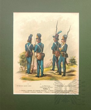 Michal STACHOWICZ (1768-1825), Kosciuszko's Polish Army, 1894