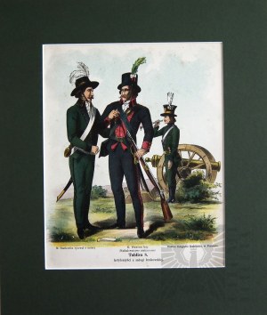 Michal STACHOWICZ (1768-1825), Kosciuszko's Polish Army, 1894