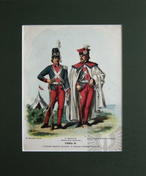 Michal STACHOWICZ (1768-1825), Kosciuszko's Polish Army, 1894