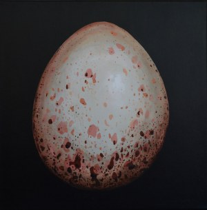 Szymon Kurpiewski, Egg #5, 2019