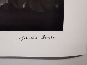 Dorota Górecka, Lalka