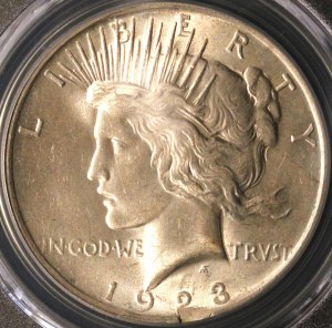 United States of America. 1923 Peace Dollar Mint Error Defective Planchet Very Rare