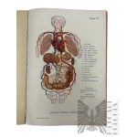 II RP, 1929 r. - Książka “Lekarz Ratujący Zdrowie, T. 1”, Katowice : Wydawnictwo Międzynarodowego Instytutu Nakładowego M. O. Groh