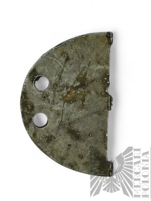 II RP - Half of a Polish Immortal from wz.31