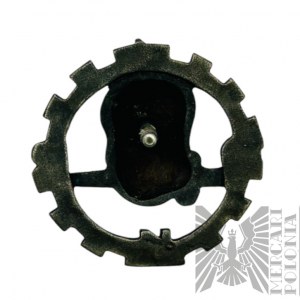 Unknown Badge with Skull 1DRK - COPY (?).