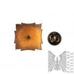 Third Republic - Home Army badge Vilnius 1939 Novogrudok 1945