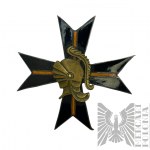 PSZnZ - Badge of the 9th Advance Tank Delivery Squadron, COPY