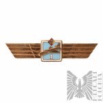 GDR - Classification Spangled Fighter Pilot First Class.