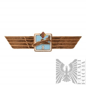 GDR - Classification Spangled Fighter Pilot First Class.