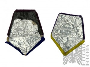 PSZnZ - Infantry and Health Service Collar Patches, COPY