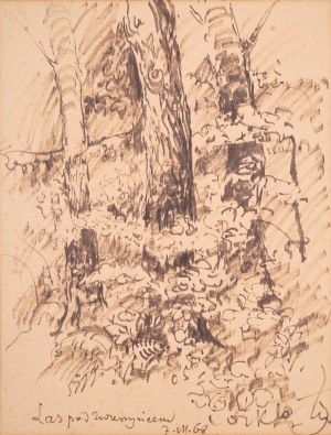 Wiktor ZIN (1925-2007), 