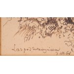 Wiktor ZIN (1925-2007), Las pod Zwierzyńcem (1968)