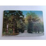 POSTCARD LUBLIN SASKI CUCUMBER, STAMP 1918