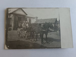 PHOTO LIVESTOCK STAMP 1915, HORSES