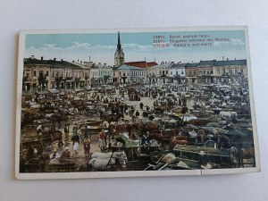 POCZTÓWKA STRYJ RYNEK PODCZAS TARGU 1916 R