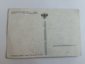 POHLEDNICE BELOVEŽSKÁ PUSZCZA BIAŁOWIESKA, ZUBR, FOT MACIEJEWSKI