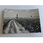 POSTCARD PRL SYCYNA POW ZWOLEŃ ROADSIDE FIGURE