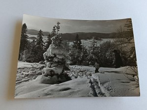 CARTE POSTALE PRL KRYNICA SUR PARK MOUNTAIN