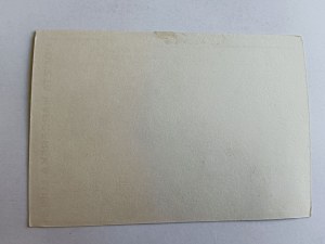 CARTE POSTALE LUBLIN SCOUT, DRAPEAU, TIMBRE, CHEVAUX
