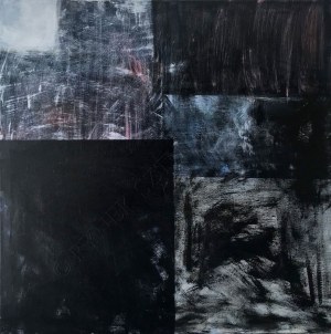 Agnieszka Krzak, Warstwy XIV (2019)