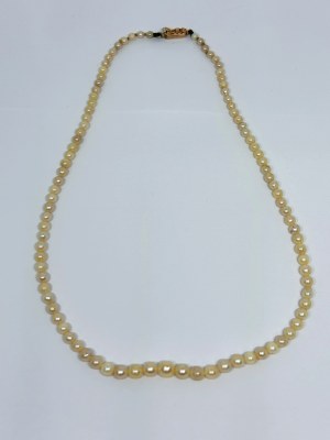 Necklace of white Akoya pearls with 375/9K gold.