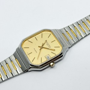 Swiss Descartes 7 men's watch