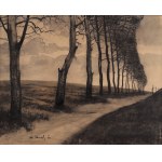 Odo DOBROWOLSKI (1883-1917), Pejzaż z aleją (1910)
