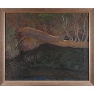 Jan MAŁACHOWSKI (1886-1917), Pejzaż z Podhala - złamane drzewo nad strumieniem (1914)