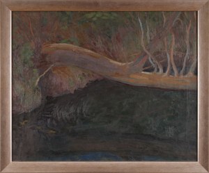 Jan MAŁACHOWSKI (1886-1917), 