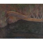 Jan MAŁACHOWSKI (1886-1917), Pejzaż z Podhala - złamane drzewo nad strumieniem (1914)