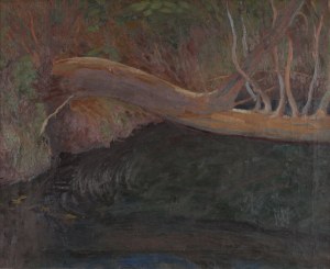 Jan MAŁACHOWSKI (1886-1917), 